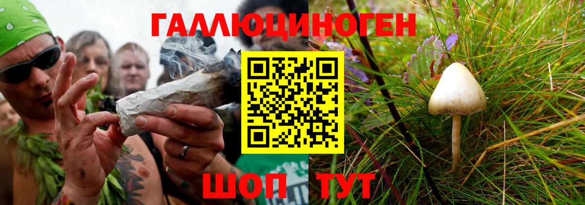 Псилоцибиновые грибы Magic Shrooms Рязань